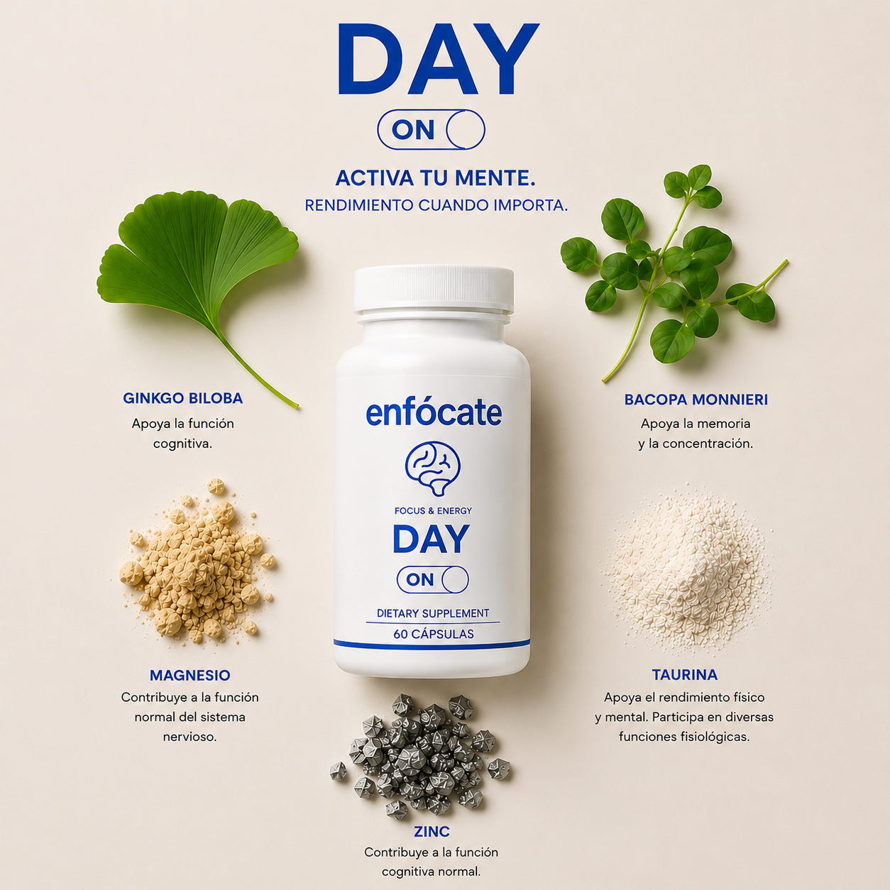 Enfócate Day & Night