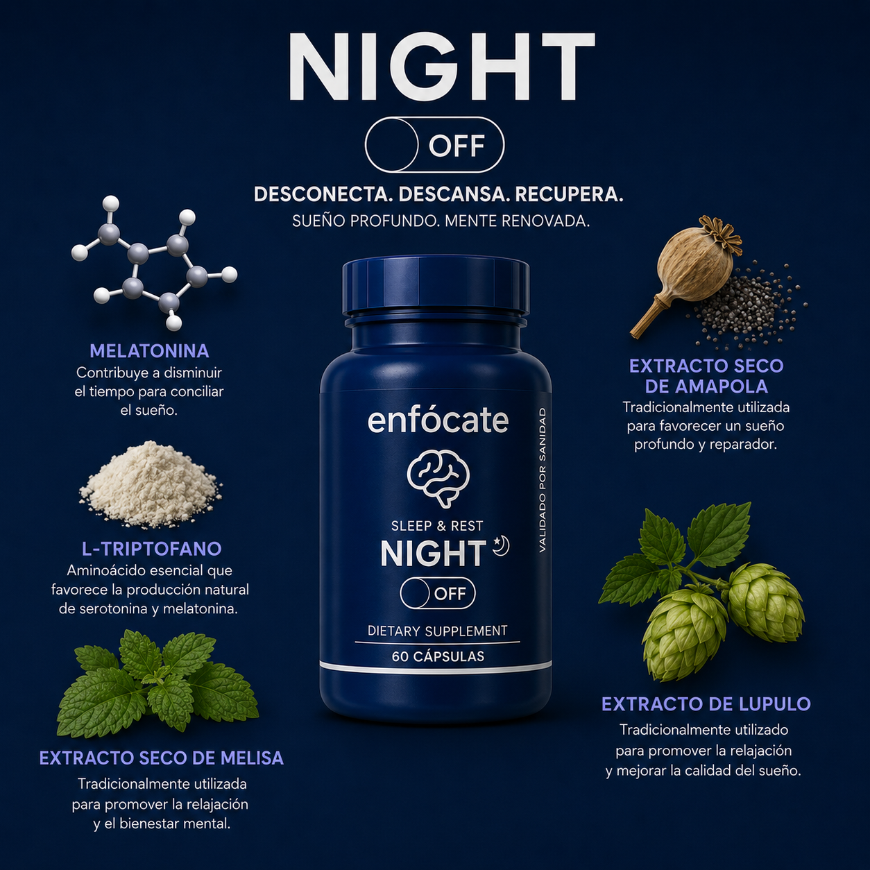 Enfócate Day & Night